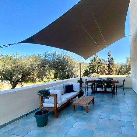 Villa Boeddu, Relax Tra Mare E Campagna ألغيرو المظهر الخارجي الصورة