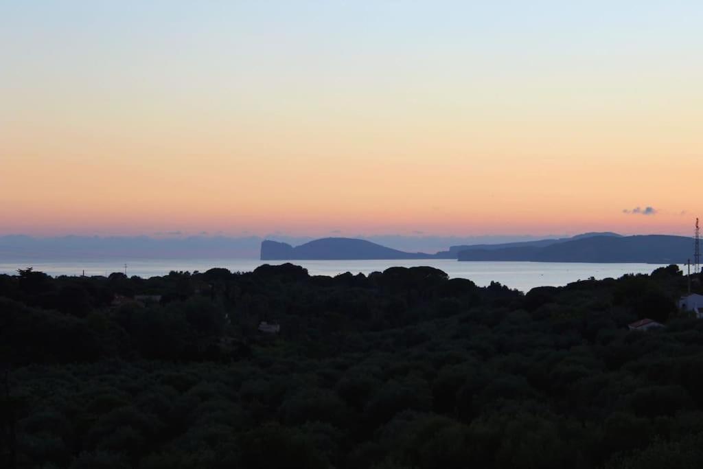 Villa Boeddu, Relax Tra Mare E Campagna ألغيرو المظهر الخارجي الصورة